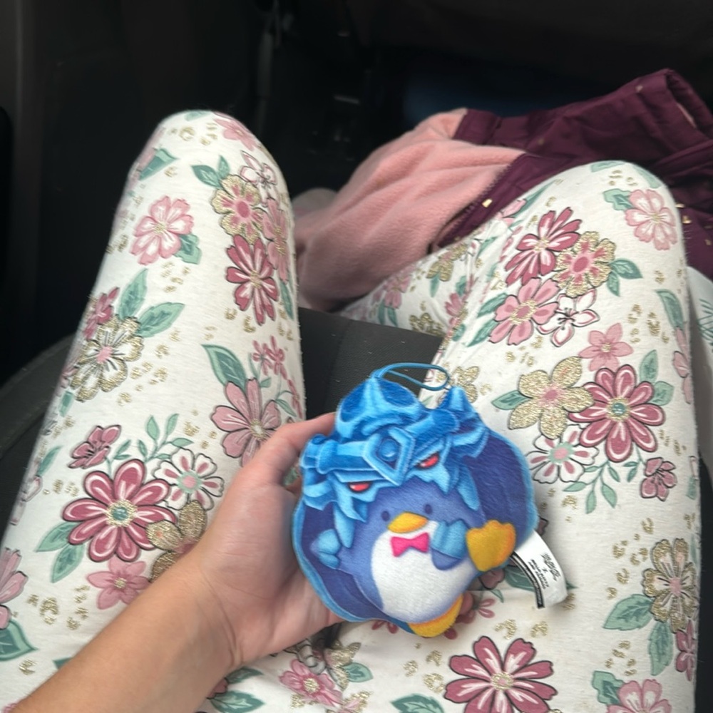 Toy